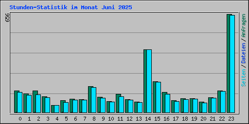 Stunden-Statistik im Monat Juni 2025