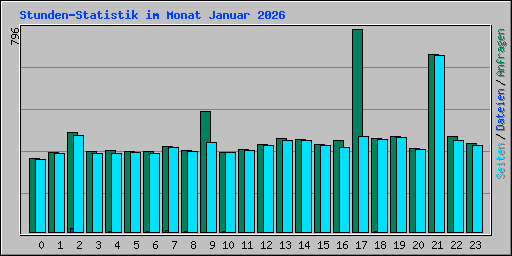 Stunden-Statistik im Monat Januar 2026