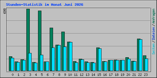 Stunden-Statistik im Monat Juni 2026
