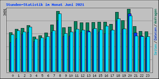 Stunden-Statistik im Monat Juni 2021