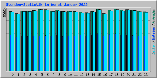 Stunden-Statistik im Monat Januar 2022