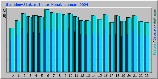 Stunden-Statistik im Monat Januar 2024