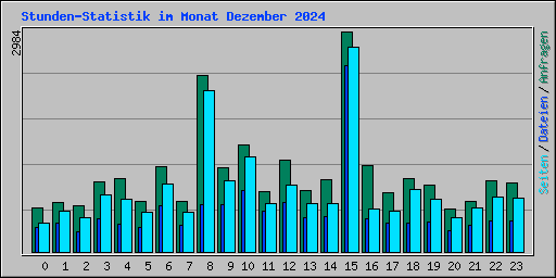 Stunden-Statistik im Monat Dezember 2024