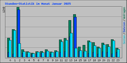 Stunden-Statistik im Monat Januar 2025