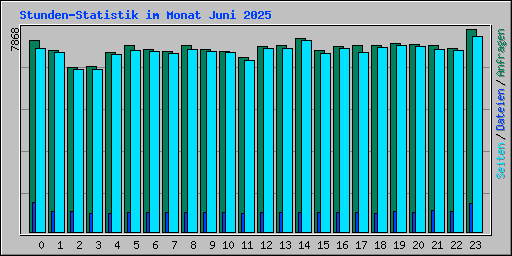 Stunden-Statistik im Monat Juni 2025