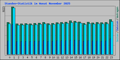 Stunden-Statistik im Monat November 2025