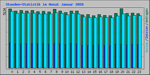 Stunden-Statistik im Monat Januar 2026