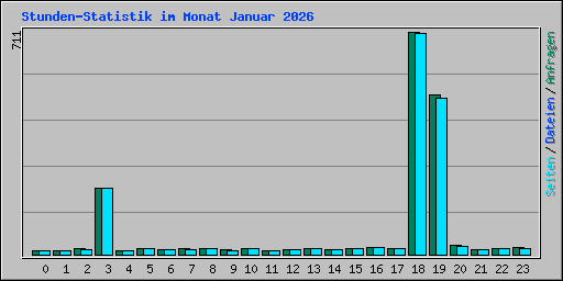 Stunden-Statistik im Monat Januar 2026