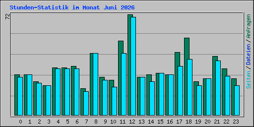 Stunden-Statistik im Monat Juni 2026