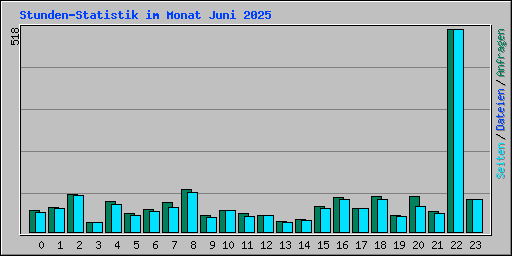 Stunden-Statistik im Monat Juni 2025