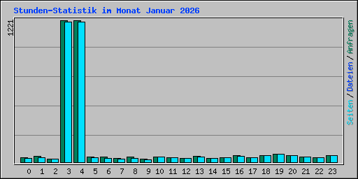 Stunden-Statistik im Monat Januar 2026