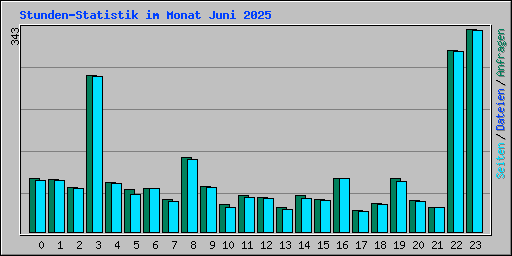 Stunden-Statistik im Monat Juni 2025