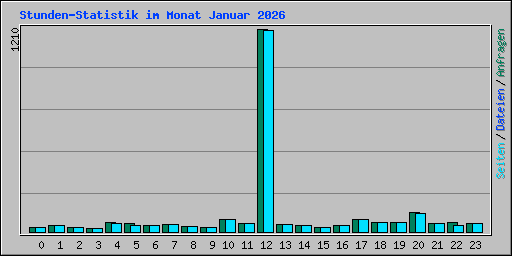 Stunden-Statistik im Monat Januar 2026