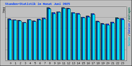 Stunden-Statistik im Monat Juni 2025