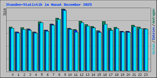 Stunden-Statistik im Monat Dezember 2025
