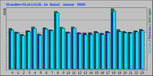Stunden-Statistik im Monat Januar 2026