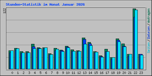 Stunden-Statistik im Monat Januar 2026